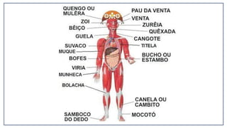Aula_1_-_IntroduASSAPSo_A__Anatomia.pdf