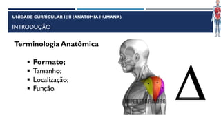 Aula_1_-_IntroduASSAPSo_A__Anatomia.pdf