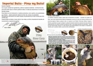 max nollert
25kg
River Carp
Imperial Baits - Pimp my Baits!Imperial Baits - Pimp my Baits!
Querido Carpista:
Con la gran cantidad de ingredientes y aditivos Carptrack existentes, le ofrecemos esta
guía para poder sacar el máximo partido de ellos, en todas las situaciones en la busca de
grandes carpas.
Este folleto es una introducción a nuestros productos, como usarlos y las posibilidades
que ofrecen , máxima atracción desde el primer día, incluso sin precebado.
Recopilamos información de nuestro equipo de pescadores por toda Europa para ofre-
cersela aquí.
Imperial Baits os desea un gran éxito en las orillas y es feliz compartiendo decadas de
conocimiento y experiencia contigo!
Mezcla Carptrack Add Fat, Squid Liver Concentrado
de Proteínas con barro o arena. Esto creará una nube
altamente atrayentes bajo el agua.
Puedes añadir si lo deseas aditivos como inL / inP
o GLM Full-Fat combinados, para lograr incluso una
mayor atracción con estas combinaciones.
Dónde y cómo usarlo:
Los Aditivos Carptrack pueden usarse para la fabricación de boilies, o también se pueden em-
plear para rociar exteriormente boilies ya preparados, que es en lo que nos vamos a centrar en las
próximas páginas. Mejora cualquier cebo, no importa si son Pellets, Partículas, Boilies, Engodo o
Stickmix, aportando una gran ventaja en cualquier situación durante tus sesiones tras las carpas.Es
especialmente útil cuando la presión de pesca es alta, o tras largos periodos de inactividad, cuando
es mas importe poder introducir un cebo atractivo para desencadenar en las carpas un respuesta de
cebado que no puedan resistir y que las incite a alimentarse.
cebo espolvoreado...
Peter Schuh
26kg ; Rio
Moselle
Combinación exitosa para ´tunear´ (por kg de cebo): 10g inP, 10g Powder, 5g
GLM, 10ml inL, 10ml Liquid, 10ml Liquid Amino – primero ingedientes en polvo,
agítalo, añade el líquido y vuelve a agitar
30-50% atractores
mezclado con tierra o
arena
El truco de la arena/tierra
PimpPimp
mymy
BaitsBaits
30 31
 