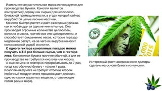 Измельченная растительная масса используется для
производства бумаги. Конопля является
альтернативу дереву как сырью для целлюлозо-
бумажной промышленности, в угоду которой сейчас
вырубаются целые лесные массивы.
Конопля быстро растет и дает ежегодные урожаи,
как и любая другая однолетняя культура. Она
производит огромные количества целлюлозы,
волокна и масла, причем все это одновременно, и
способствует сохранению лесов, которые гораздо
медленнее растут, из-за чего их вырубка наносит
колоссальный ущерб экологии.
С одного гектара конопляных посадок можно
получить в 4-5 раз больше сырья, чем с гектара
леса. Конопляная бумага прочнее обычной, а для ее
производства не требуются кислота или хлорка.
А еще ее можно повторно перерабатывать до 7 раз,
тогда как обычную бумагу - только 4 раза.
Конопляная бумага не требует отбелки хлором
(побочный продукт этого процесса дает диоксин,
одно из самых ядовитых веществ, отравляющее
потом реки и моря).
Интересный факт: американские доллары
сделаны на основе бумаги из конопли.
 