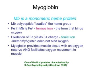 Binding of Oxygen by Hb
The Physiological Significance
• Hb must be able to bind oxygen in the lungs
• Hb must be able to ...