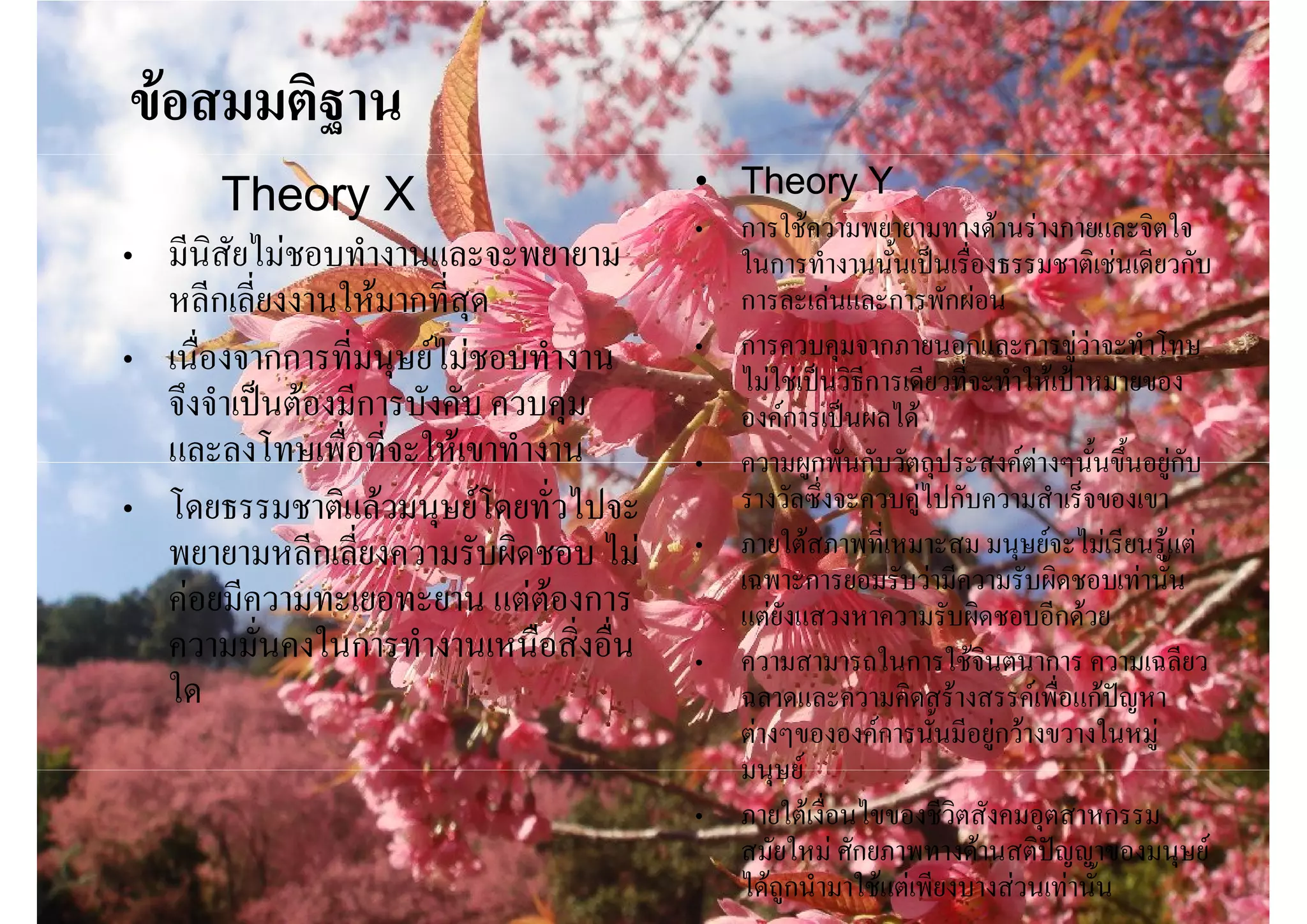 ขอสมมติฐาน
       Theory X                        • Theory Y
                                       • การใชความพยายามทางดานรางกายและจิตใจ
• มีนิสัยไมชอบทํางานและจะพยายาม         ในการทํางานนั้นเปนเรื่องธรรมชาติเชนเดียวกับ
  หลีกเลี่ยงงานใหมากที่สุด              การละเลนและการพักผอน
• เนื่องจากการที่มนุษยไมชอบทํางาน    • การควบคุมจากภายนอกและการขูวาจะทําโทษ
                                         ไมใชเปนวิธีการเดียวที่จะทําใหเปาหมายของ
  จึงจําเปนตองมีการบังคับ ควบคุม       องคการเปนผลได
  และลงโทษเพื่อที่จะใหเขาทํางาน       • ความผูกพันกับวัตถุประสงคตางๆนั้นขึ้นอยูกับ
• โดยธรรมชาติแลวมนุษยโดยทั่วไปจะ       รางวัลซึ่งจะควบคูไปกับความสําเร็จของเขา
  พยายามหลีกเลี่ยงความรับผิดชอบ ไม    • ภายใตสภาพที่เหมาะสม มนุษยจะไมเรียนรูแต
                                         เฉพาะการยอมรับวามีความรับผิดชอบเทานั้น
  คอยมีความทะเยอทะยาน แตตองการ        แตยังแสวงหาความรับผิดชอบอีกดวย
  ความมั่นคงในการทํางานเหนือสิ่งอื่น   • ความสามารถในการใชจินตนาการ ความเฉลียว
  ใด                                     ฉลาดและความคิดสรางสรรคเพื่อแกปญหา
                                         ตางๆขององคการนั้นมีอยูกวางขวางในหมู
                                         มนุษย
                                       • ภายใตเงื่อนไขของชีวิตสังคมอุตสาหกรรม
                                         สมัยใหม ศักยภาพทางดานสติปญญาของมนุษย
                                         ไดถูกนํามาใชแตเพียงบางสวนเทานั้น
 
