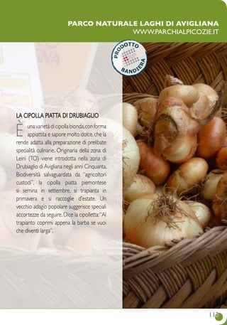113113
Parco naturale Laghi di Avigliana
www.parchialpicozie.it
La cipolla piatta di Drubiaglio
è unavarietàdicipollabionda,conforma
appiattita e sapore molto dolce,che la
rende adatta alla preparazione di prelibate
specialità culinarie. Originaria della zona di
Leinì (TO) viene introdotta nella zona di
Drubiaglio di Avigliana negli anni Cinquanta.
Biodiversità salvaguardata da “agricoltori
custodi”, la cipolla piatta piemontese
si semina in settembre, si trapianta in
primavera e si raccoglie d’estate. Un
vecchio adagio popolare suggerisce speciali
accortezze da seguire.Dice la cipolletta:“al
trapianto coprimi appena la barba se vuoi
che diventi larga”.
 