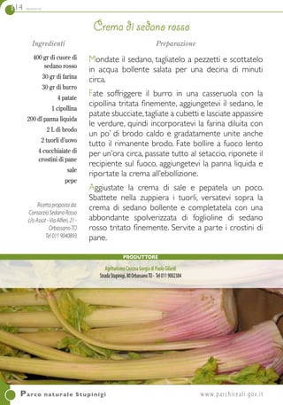 114 contorni
Crema di sedano rosso
Parco naturale Stupinigi	www.parchireali.gov.it
Ingredienti
400 gr di cuore di
sedano rosso
30 gr di farina
30 gr di burro
4 patate
1 cipollina
200 dl panna liquida
2 L di brodo
2 tuorli d’uovo
4 cucchiaiate di
crostini di pane
sale
pepe
Ricettapropostada:
ConsorzioSedanoRosso
c/oAssot-ViaAlfieri,21-
OrbassanoTO
Tel 0119040893
Preparazione
Mondate il sedano, tagliatelo a pezzetti e scottatelo
in acqua bollente salata per una decina di minuti
circa.
Fate soffriggere il burro in una casseruola con la
cipollina tritata finemente, aggiungetevi il sedano, le
patate sbucciate,tagliate a cubetti e lasciate appassire
le verdure, quindi incorporatevi la farina diluita con
un po’ di brodo caldo e gradatamente unite anche
tutto il rimanente brodo. Fate bollire a fuoco lento
per un’ora circa, passate tutto al setaccio, riponete il
recipiente sul fuoco, aggiungetevi la panna liquida e
riportate la crema all’ebollizione.
Aggiustate la crema di sale e pepatela un poco.
Sbattete nella zuppiera i tuorli, versatevi sopra la
crema di sedano bollente e completatela con una
abbondante spolverizzata di foglioline di sedano
rosso tritato finemente. Servite a parte i crostini di
pane.
Produttore
AgriturismoCascinaGorgiadiPaoloGilardi
StradaStupinigi,80OrbassanoTO- Tel0119002384
 