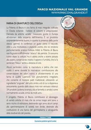 45
Produttore
Associazioneproduttoriagricoliossolani
Farina di granturco dell’Ossola
La Polenta di Beura è una farina di mais integrale, coltivata
in Ossola evitando l’utilizzo di concimi e antiparassitari.
Derivata da antiche varietà messicane, giunte in Europa
all’indomani della scoperta dell’America. È un prodotto
sorprendentemente buono, in quanto la presenza della parte
oleosa (germe) le conferisce un gusto pieno e naturale,
oltre a una morbidezza e plasticità uniche, che ne rendono
particolarmente pratico l’utilizzo. Infatti la Polenta di Beura
non fa grumi e difficilmente“attacca”alla pentola .Si consuma
subito dopo la cottura, ma è adatta anche a essere passata
alla piastra, conservando intatto il sapore e l’umidità, che la fa
sembrare “fresca” anche a distanza di ore.
Alcuni particolari, come la macinatura a pietra, che non
scalda il seme durante la macinatura, contribuiscono alla
conservazione dei valori nutrivi e all’ottenimento di una
farina di qualità superiore, con granulometria irregolare,
che consente di rivisitare piatti tradizionali, utilizzando un
ingrediente“originale”,del tutto simile a ciò di cui si disponeva
anticamente, quando dallo stesso mais non venivano ottenuti
3/4 prodotti (polenta bramata,olio e farinetta o amido) come
normalmente accade, ormai da molti anni.
Il progetto Polenta di Beura, contribuisce al salvataggio
di varietà antiche di mais, che da ormai troppi anni sono a
serio rischio di estinzione, destinando ogni anno alcuni campi
alla sperimentazione di varietà non ibride, destinate alla
costituzione di una banca del germoplasma a salvaguardia
della biodiversità del pianeta.
Parco nazionale Val Grande
www.parcovalgrande.it
 