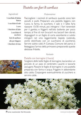 secondi piatti 97
Ingredienti
1 cucchiaio di farina
bianca
1 cucchiaio di sale
1 uovo
1 bicchiere di latte
1 cucchiaio di
zucchero
fiori di sambuco
olio per friggere
1 bicchiere di vino
Preparazione
Raccogliere i racimoli di sambuco quando sono ben
asciutti e puliti. Preparare una pastella leggera con
l’uovo, la farina, lo zucchero, il sale e il latte; farla
riposare 15/30 minuti, poi intingervi i fiori tenendoli
per il gambo, e friggerli nell’olio bollente per poco
tempo, al fine di non bruciarli ma lasciarli ben dorati.
Appoggiarli in un foglio di carta assorbente e subito
intingerli nel vino leggermente tiepido (volendo,
anche dolcificato con un cucchiaino di zucchero).
Servire subito caldi. A Carezzo, Comune del parco, si
festeggiava l’arrivo della primavera preparando queste
deliziose frittelle.
Variante
Pastella con borragine (I burai)
Scegliere delle belle foglie di borragine, lasciandovi un
picciolo di un paio di centimetri. Lavarle e lasciarle
asciugare. Passare le foglie di borragine in una pastella
preparata con farina e acqua. Friggere in abbondante
olio caldo. Cospargere eventualmente di zucchero e
servire calde.
Pastella con fiori di sambuco
Parco nazionale Val Grande	www.parcovalgrande.it
 