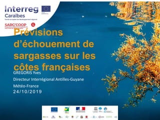 Prévisions
d’échouement de
sargasses sur les
côtes françaisesGREGORIS Yves
Directeur Interrégional Antilles-Guyane
Météo-France
24/10/2019
 
