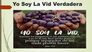 Yo Soy La Vid Verdadera
 