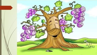 Los 7 Yo soy de Jesus