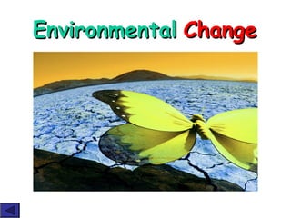 Environmental   Change 