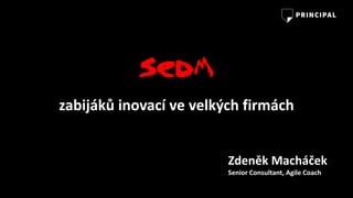 Sedm
zabijáků	inovací	ve	velkých	firmách
Zdeněk	Macháček
Senior	Consultant,	Agile Coach
 