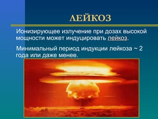 ЛЕЙКОЗ 
Ионизирующее излучение при дозах высокой 
мощности может индуцировать ллееййккоозз. 
Минимальный период индукции лейкоза ~ 2 
года или даже менее. 
 