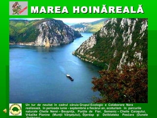 MAREA HOIN ĂREALĂ

Un tur de neuitat în cadrul căruia Grupul Ecologic e Colaborare Nera
realizează, în perioada iunie - septembrie a fiecărui an , ecoturism în parcurile
naturale Cheile Nerei – Beuşniţa, Porţile de Fier, Semenic – Cheile Caraşului,
Vršačke Planine (Munţii Vârşeţului), Đjerdap şi Deliblatska Pesčara (Dunele

 