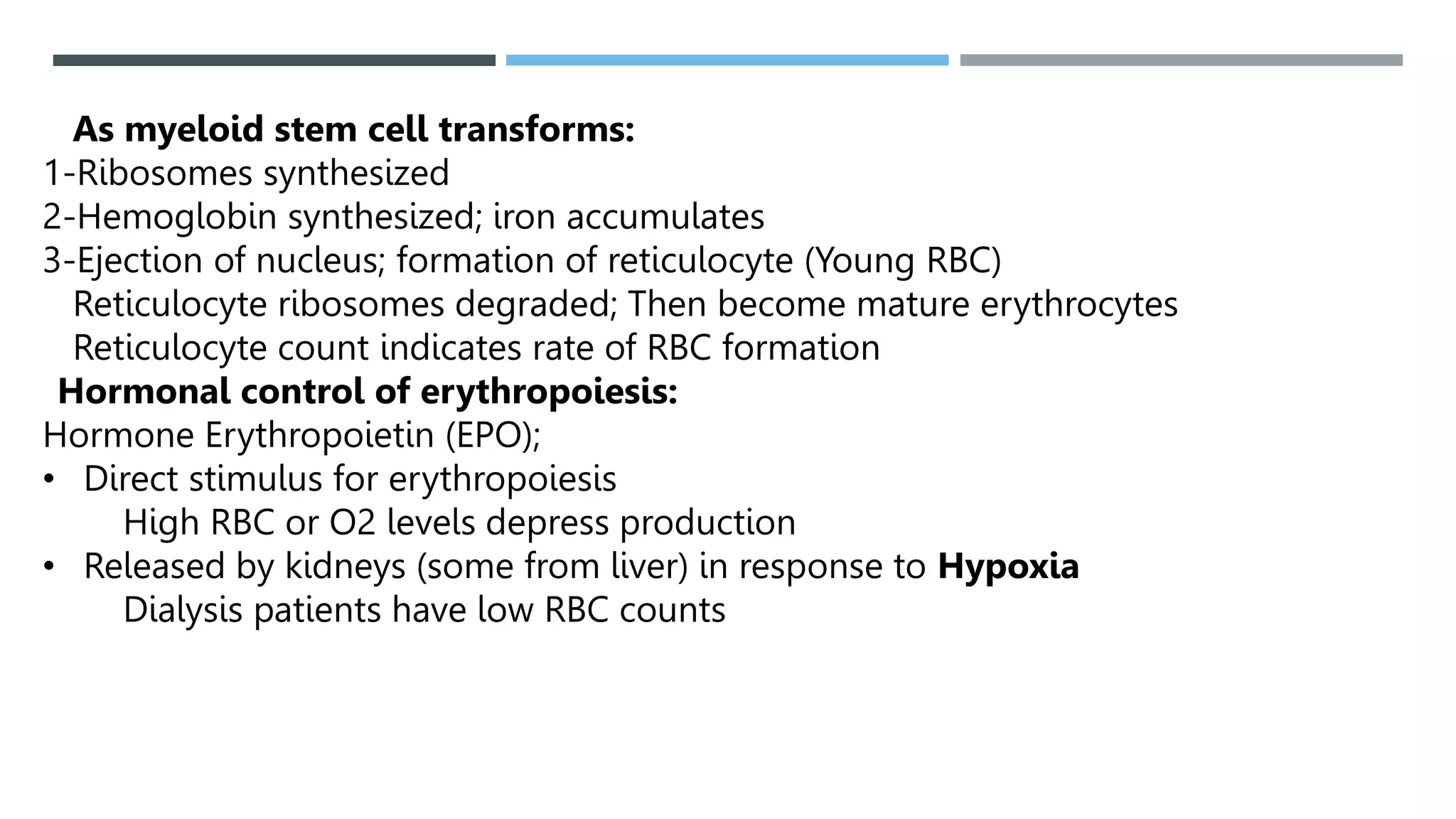Hemopoiesis pptx Hemopoiesis Pptx