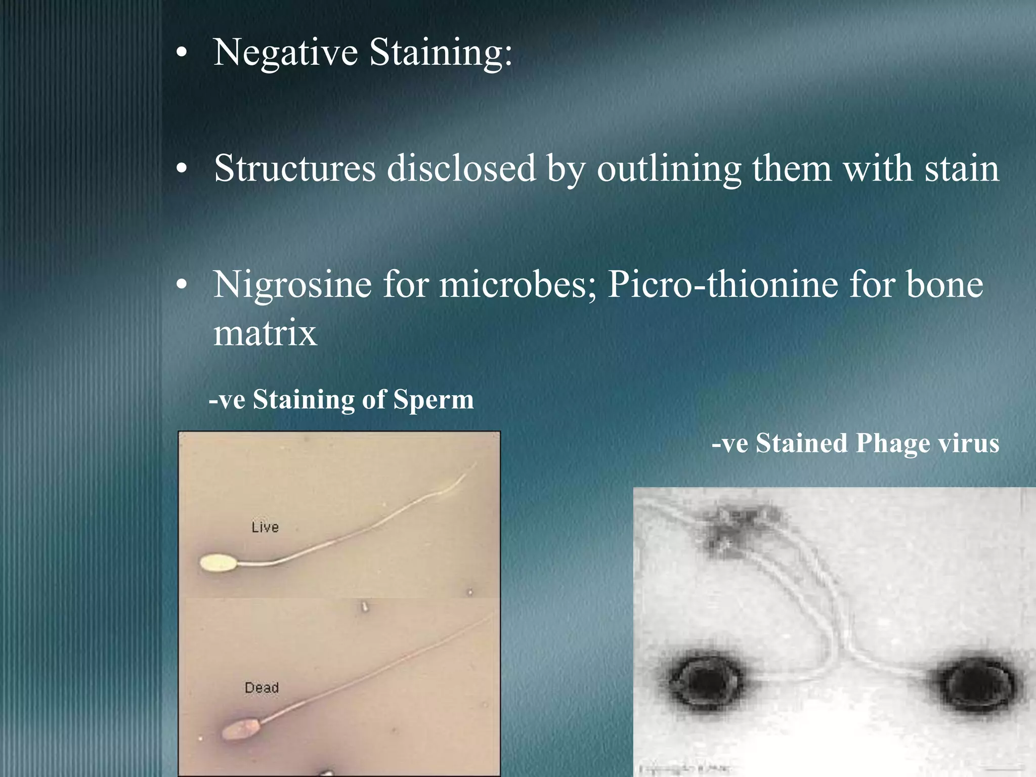 • Negative Staining:
• Structures disclosed by outlining them with stain
• Nigrosine for microbes; Picro-thionine for bone
matrix
-ve Staining of Sperm
-ve Stained Phage virus
 