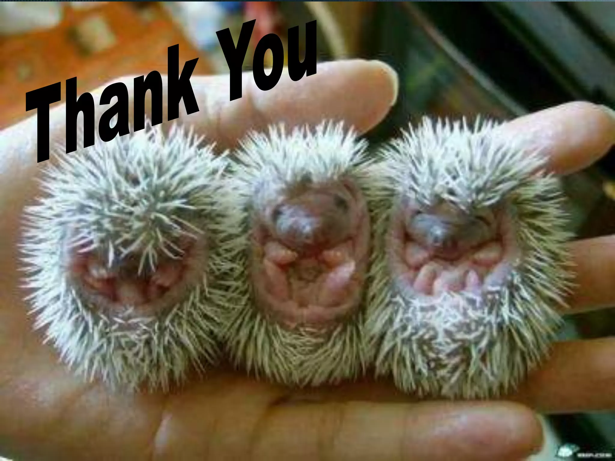 Theory_of_Staining.ppt