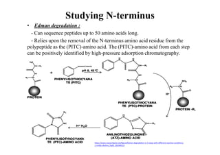 8-07_PROTEIN SEQUENCING.pdf