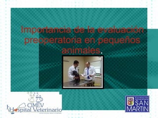 Importancia de la evaluación preoperatoria en pequeños animales . 