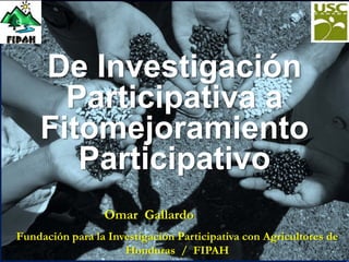 De Investigación
      Participativa a
    Fitomejoramiento
       Participativo
                 Omar Gallardo
Fundación para la Investigación Participativa con Agricultores de
                     Honduras / FIPAH
 