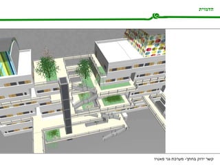 הדמוית קשר ירוק בחתך -  מערכת גני פאטיו 