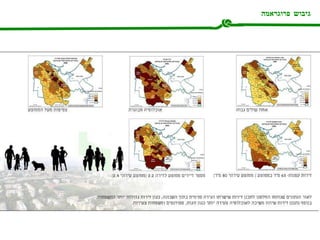 גיבוש פרוגראמה 