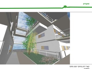 הדמוית קשר ירוק בחתך -  מבט מתוך הפאטיו 