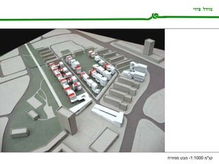 מודל פיזי קנ " מ  1:1000-  מבט ממזרח 