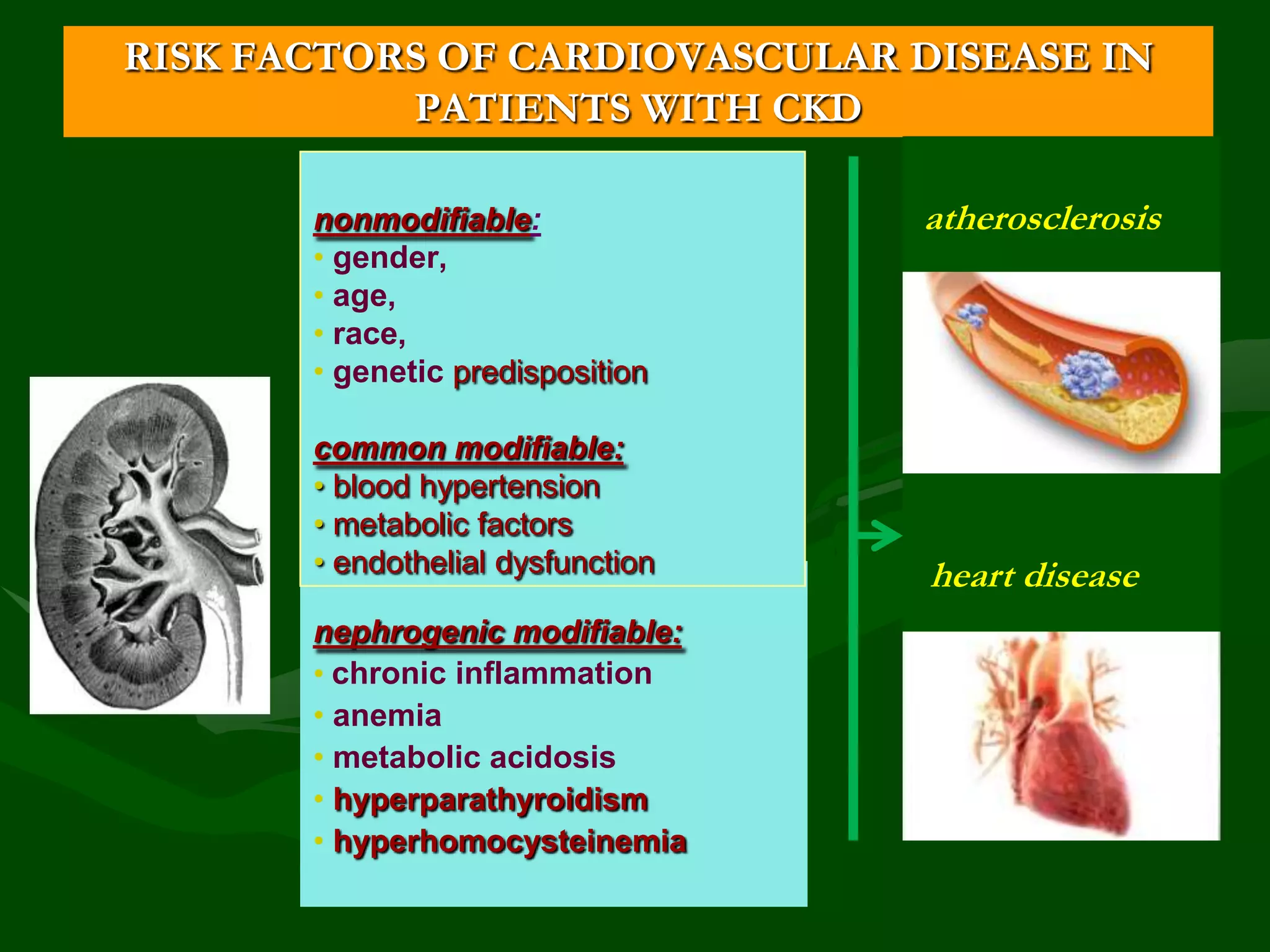 RISK FACTORS OF CARDIOVASCULAR DISEASE IN
PATIENTS WITH CKD
nonmodifiable:
• gender,
• age,
• race,
• genetic predisposition
common modifiable:
• blood hypertension
• metabolic factors
• endothelial dysfunction
nephrogenic modifiable:
• chronic inflammation
• anemia
• metabolic acidosis
• hyperparathyroidism
• hyperhomocysteinemia

atherosclerosis

heart disease

 