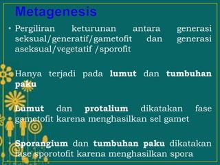 • Pergiliran keturunan antara generasi
seksual/generatif/gametofit dan generasi
aseksual/vegetatif /sporofit
• Hanya terjadi pada lumut dan tumbuhan
paku
• Lumut dan protalium dikatakan fase
gametofit karena menghasilkan sel gamet
• Sporangium dan tumbuhan paku dikatakan
fase sporotofit karena menghasilkan spora
 