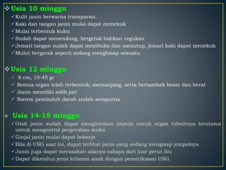 Usia 10 minggu
Kulit janin berwarna transparan.
Kaki dan tangan janin mulai dapat menekuk
Mulai terbentuk kuku
Sudah dapat menendang, bergerak bahkan cegukan
Jemari tangan sudah dapat membuka dan menutup, jemari kaki dapat menekuk
Mulut bergerak seperti sedang menghisap sesuatu
Usia 12 minggu
 8 cm, 10-45 gr
 Semua organ telah terbentuk, memanjang, serta bertambah besar dan berat
 Janin memiliki sidik jari
 Sistem pembuluh darah sudah sempurna
 Usia 14-15 minggu
Otak janin sudah dapat mengirimkan impuls untuk organ tubuhnya terutama
untuk mengontrol pergerakan muka
Ginjal janin mulai dapat bekerja
Bila di USG saat ini, dapat terlihat janin yang sedang mengisap jempolnya
Janin juga dapat merasakan adanya cahaya dari luar perut ibu
Dapat diketahui jenis kelamin anak dengan pemeriksaan USG.
 