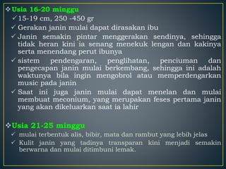 Usia 16-20 minggu
15-19 cm, 250 -450 gr
 Gerakan janin mulai dapat dirasakan ibu
 Janin semakin pintar menggerakan sendinya, sehingga
tidak heran kini ia senang menekuk lengan dan kakinya
serta menendang perut ibunya
 sistem pendengaran, penglihatan, penciuman dan
pengecapan janin mulai berkembang, sehingga ini adalah
waktunya bila ingin mengobrol atau memperdengarkan
music pada janin
 Saat ini juga janin mulai dapat menelan dan mulai
membuat meconium, yang merupakan feses pertama janin
yang akan dikeluarkan saat ia lahir
Usia 21-25 minggu
 mulai terbentuk alis, bibir, mata dan rambut yang lebih jelas
 Kulit janin yang tadinya transparan kini menjadi semakin
berwarna dan mulai ditimbuni lemak.
 