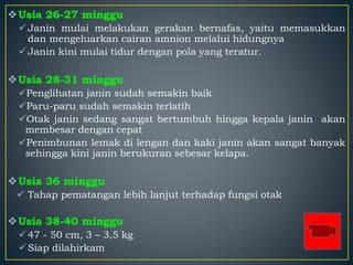 Usia 26-27 minggu
Janin mulai melakukan gerakan bernafas, yaitu memasukkan
dan mengeluarkan cairan amnion melalui hidungnya
Janin kini mulai tidur dengan pola yang teratur.
Usia 28-31 minggu
Penglihatan janin sudah semakin baik
Paru-paru sudah semakin terlatih
Otak janin sedang sangat bertumbuh hingga kepala janin akan
membesar dengan cepat
Penimbunan lemak di lengan dan kaki janin akan sangat banyak
sehingga kini janin berukuran sebesar kelapa.
Usia 36 minggu
 Tahap pematangan lebih lanjut terhadap fungsi otak
Usia 38-40 minggu
47 - 50 cm, 3 – 3,5 kg
Siap dilahirkam
 