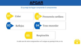 Color
01
Reflejos
03
Respiración
05
APGAR
El puntaje de Apgar comprende 5 componentes
Frecuencia cardíaca
02
Tono muscular
04
A cada uno de estos componentes se le asigna un puntaje de 0, 1 o 2.
 