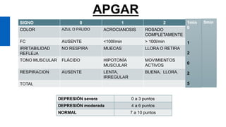 Get a modern PowerPoint
APGAR
SIGNO 0 1 2
COLOR AZUL O PÁLIDO ACROCIANOSIS ROSADO
COMPLETAMENTE
FC AUSENTE <100l/min > 100l/min
IRRITABILIDAD
REFLEJA
NO RESPIRA MUECAS LLORA O RETIRA
TONO MUSCULAR FLÁCIDO HIPOTONÍA
MUSCULAR
MOVIMIENTOS
ACTIVOS
RESPIRACION AUSENTE LENTA,
IRREGULAR
BUENA, LLORA.
TOTAL
DEPRESIÓN severa 0 a 3 puntos
DEPRESIÓN moderada 4 a 6 puntos
NORMAL 7 a 10 puntos
1min
0
1
2
0
2
5
5min
 