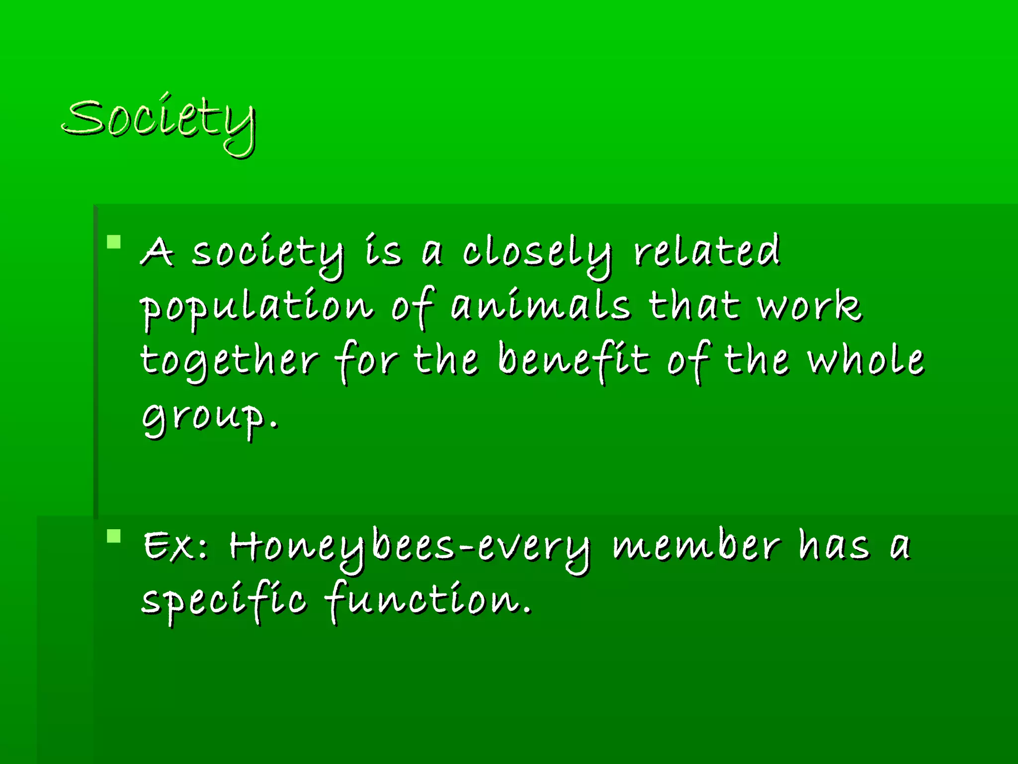 SocietySociety
 A society is a closely relatedA society is a closely related
population of animals that workpopulation of animals that work
together for the benefit of the wholetogether for the benefit of the whole
group.group.
 Ex: Honeybees-every member has aEx: Honeybees-every member has a
specific function.specific function.
 