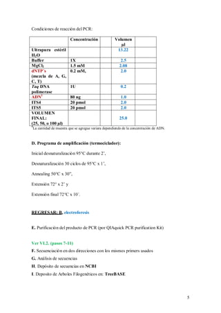 Condiciones de reacción del PCR:
Concentración
Ultrapura estéril
H2 O
Buffer
MgCl2
dNTP´s
(mezcla de A, G,
C, T)
Taq DNA
polimerase
ADN1
ITS4
ITS5
VOLUMEN
FINAL:
(25, 50, o 100 µl)

1X
1.5 mM
0.2 mM,

Volumen
µl
13.22
2.5
2.08
2.0

1U

0.2

80 ng
20 pmol
20 pmol

1.0
2.0
2.0
25.0

1

La cantidad de muestra que se agregue variara dependiendo de la concentración de ADN.

D. Programa de amplificación (termociclador):
Inicial desnaturalización 95°C durante 2’,
Desnaturalización 30 ciclos de 95°C x 1’,
Annealing 50°C x 30”,
Extensión 72° x 2’ y
Extensión final 72°C x 10´.

REGRESAR: B, electroforesis

E. Purificación del producto de PCR (por QIAquick PCR purification Kit)

Ver VI.2. (pasos 7-11)
F. Secuenciación en dos direcciones con los mismos primers usados
G. Análisis de secuencias
H. Depósito de secuencias en NCBI
I. Deposito de Arboles Filogenéticos en: TreeBASE

5

 