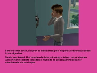 Sander schrok ervan, en sprak ze allebei streng toe. Piepend verdwenen ze allebei in een eigen hok.  Sander was kwaad. Hoe moesten die twee ooit puppy’s krijgen, als ze vijanden waren? Hier moest iets veranderen. Hij belde de gehoorzaamheidstrainer, misschien dat dat zou helpen. 