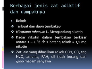 Berbagai jenis zat adiktif
dan dampaknya
1. Rokok
 Terbuat dari daun tembakau
 Nicotiana tabacum L. Mengandung nikotin
 Kadar nikotin dalam tembakau berkisar
antara 1 – 4 %  1 batang rokok = 1,1 mg
nikotin
 Zat lain yang dihasilkan rokok CO2, CO, tar,
N2O, amonia, PAH, dll tidak kurang dari
4000 macam senyawa
 