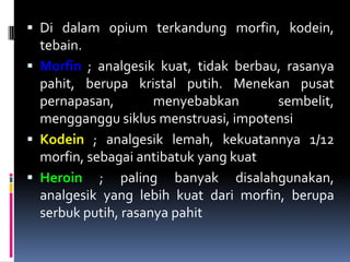 Di dalam opium terkandung morfin, kodein,
tebain.
 Morfin ; analgesik kuat, tidak berbau, rasanya
pahit, berupa kristal putih. Menekan pusat
pernapasan, menyebabkan sembelit,
mengganggu siklus menstruasi, impotensi
 Kodein ; analgesik lemah, kekuatannya 1/12
morfin, sebagai antibatuk yang kuat
 Heroin ; paling banyak disalahgunakan,
analgesik yang lebih kuat dari morfin, berupa
serbuk putih, rasanya pahit
 