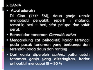 b. GANJA
 Awal sejarah :
DI Cina (2737 SM), daun ganja untuk
mengobati penyakit, seperti : malaria,
rematik, beri – beri, sifat pelupa dan sakit
perut.
 Berasal dari tanaman Cannabis sativa
 Mengandung zat psikoaktif, kadar tertinggi
pada pucuk tanaman yang berbunga dan
terendah pada daun dan ranting
 Dari ganja diperoleh hashish, yaitu getah
tanaman ganja yang dikeringkan, kadar
psikoaktif mencapai 15 – 30 %
 