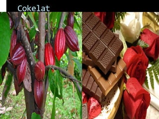 Cokelat
 