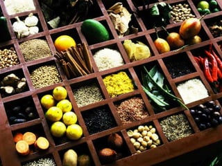 Lili Andajani, S.Pd, M.Pd
 