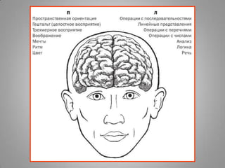 Мозговой штурм