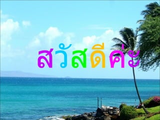 ส วั ส ดี ค่ ะ 