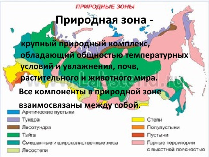 Какие зоны есть в классе. Природные зоны. Карта природных зон. Карта природных зон России. Название природных зон.