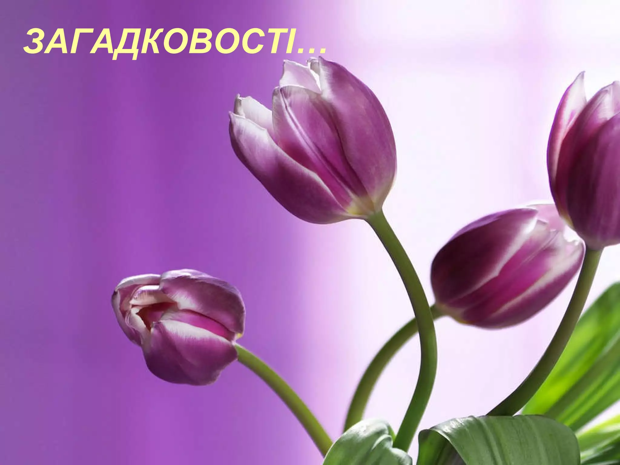 ЗАГАДКОВОСТ І… 