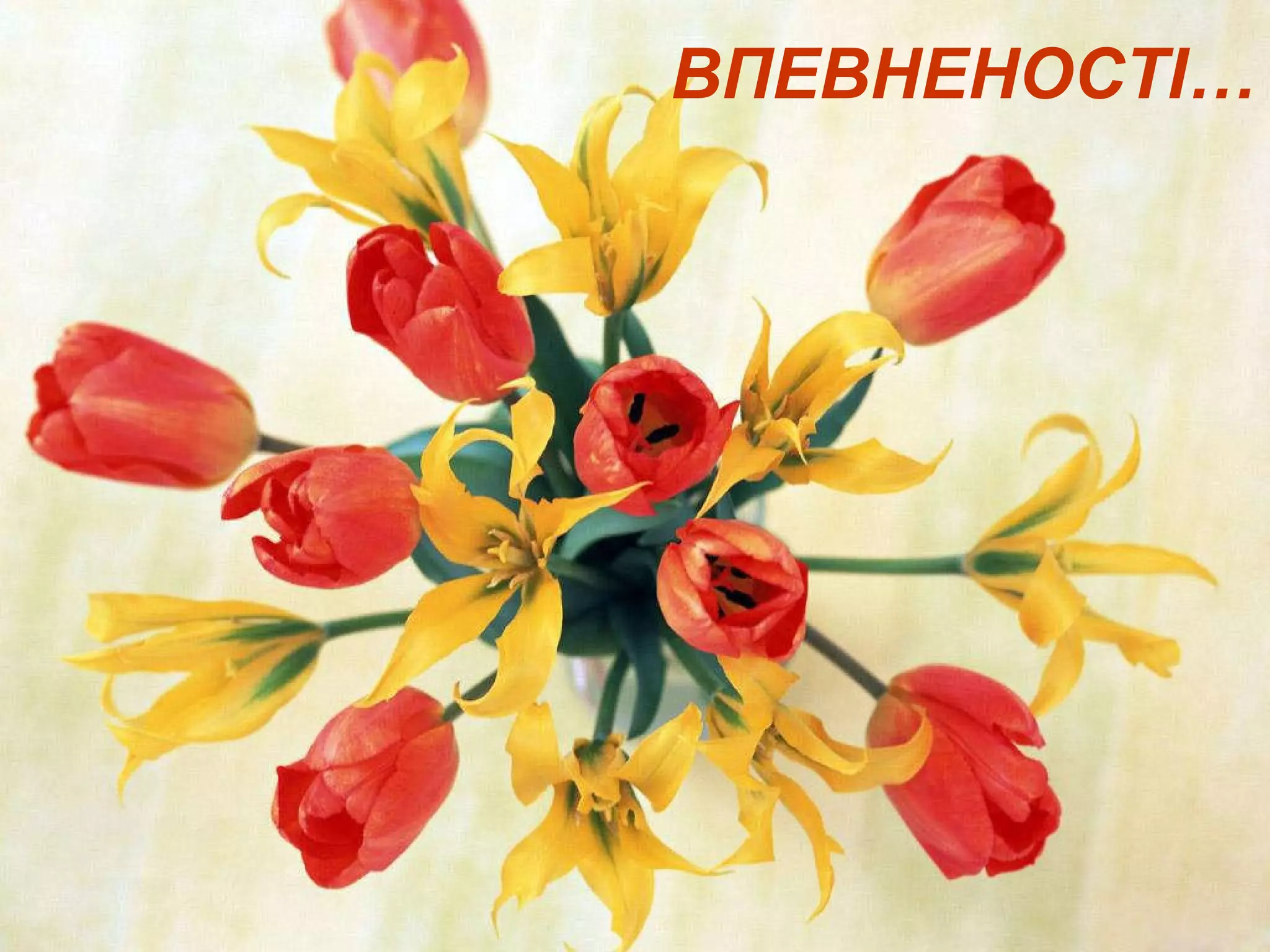 ВПЕВНЕНОСТІ… 