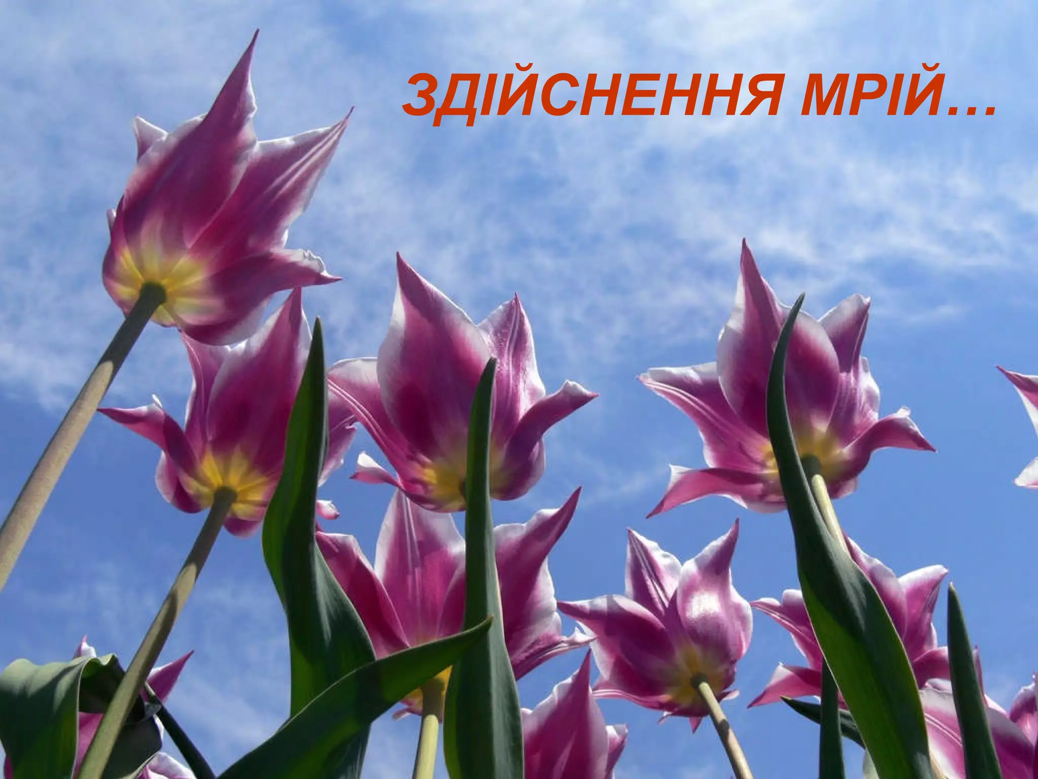 ЗДІЙСНЕННЯ МРІЙ… 