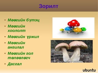 мөөг 8 анги | PPT