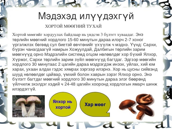 мөөг 8 анги